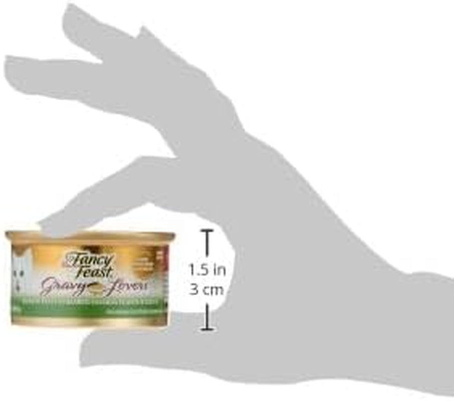 FANCY FEAST Gravy Lovers Adult Wet Cat Food Seared Salmon in Gravy 24X85G