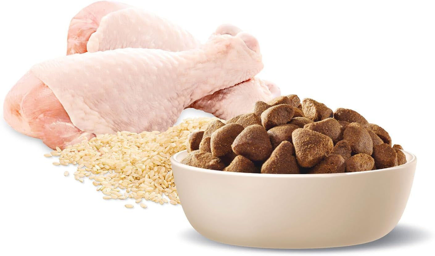 DOG ADULT LARGE BREED CHICKEN RICE 15KG (216257)