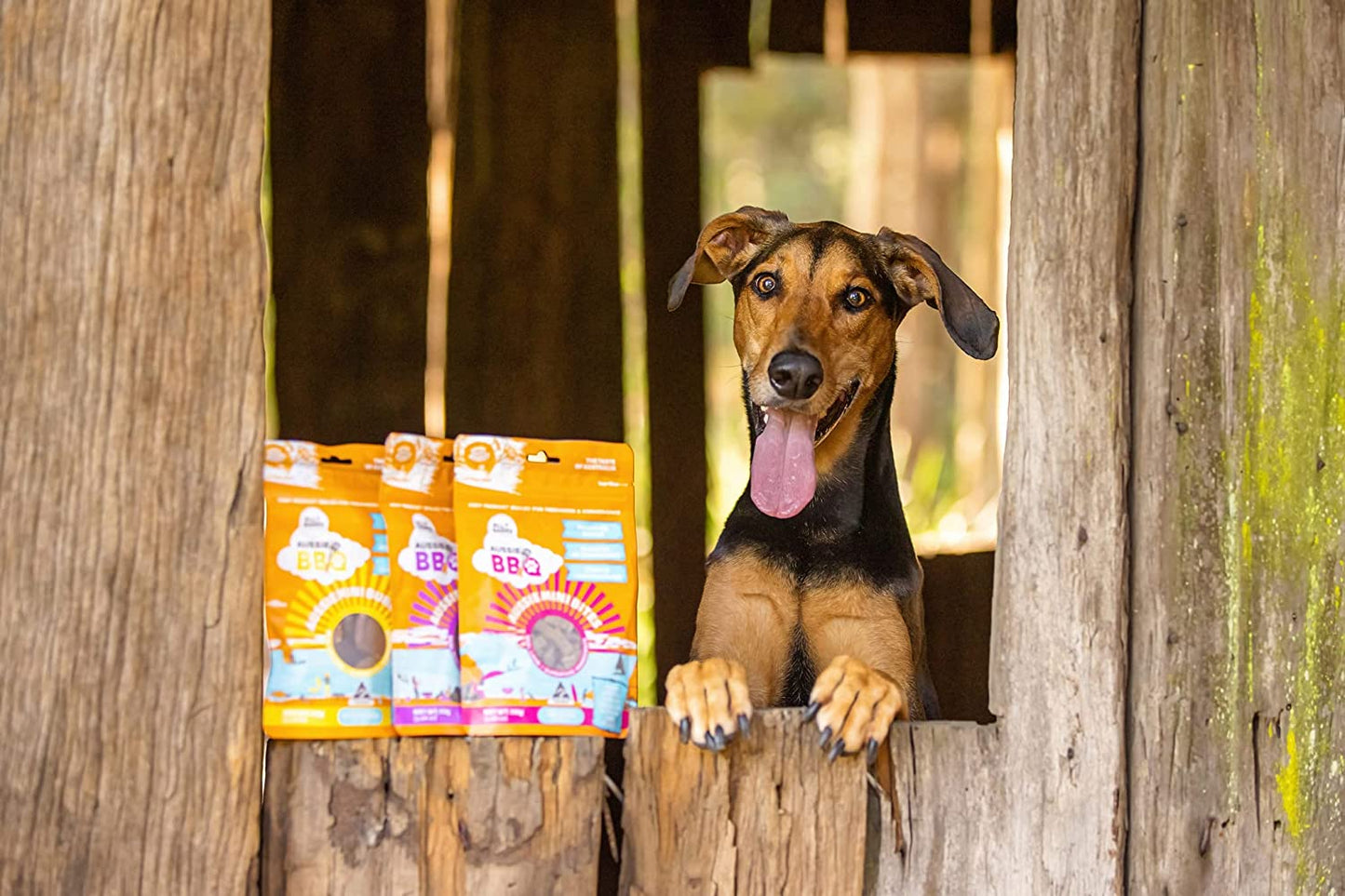 Aussie Mini Burgers - 100% Aussie Chicken & Superfood Ingredients - Natural, Grain-Free Dog Treats - Snacks, Training or Rewards for Dogs - 110G