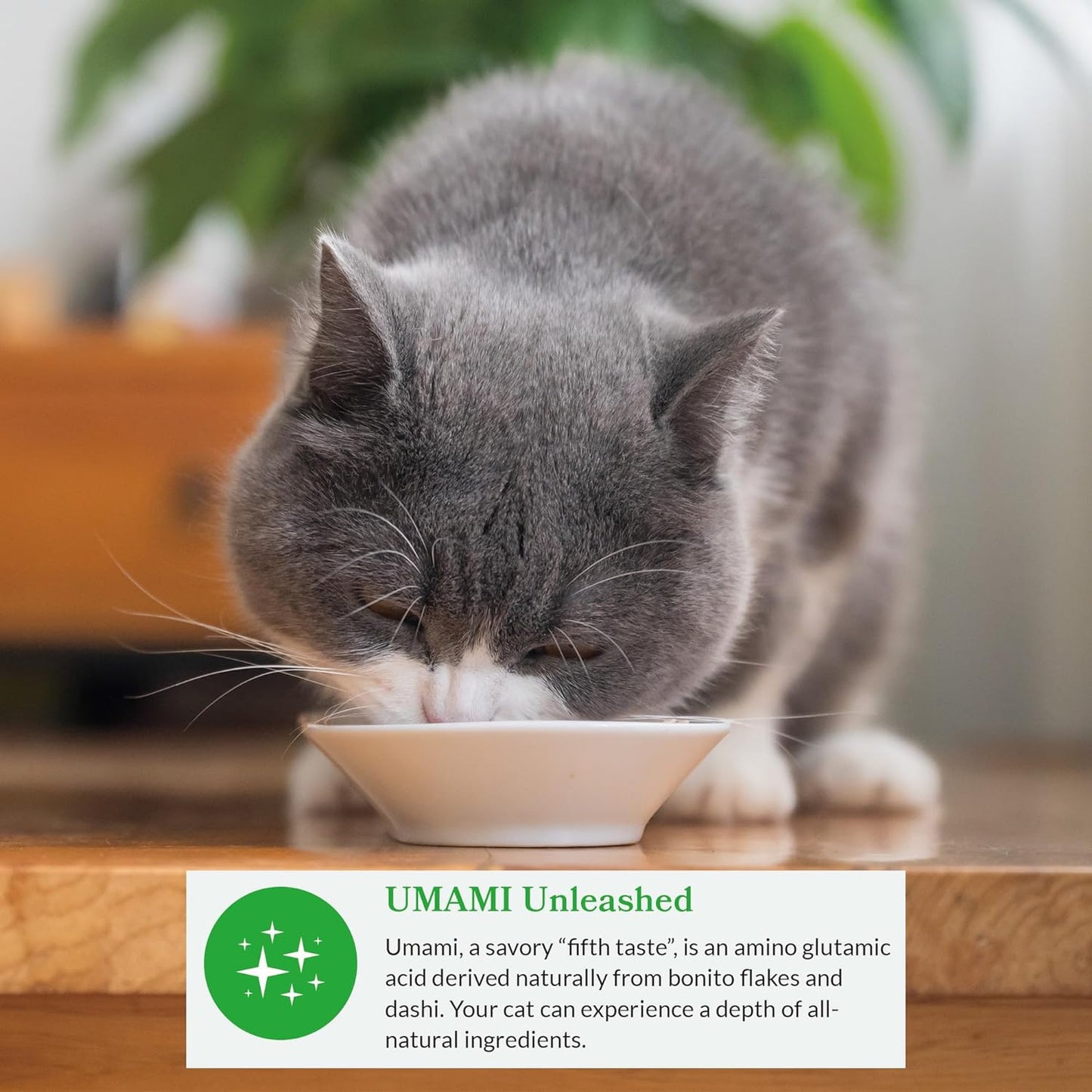 Dashi Delights Tuna Variety Pack for Cats (12 Cups X 70 G)