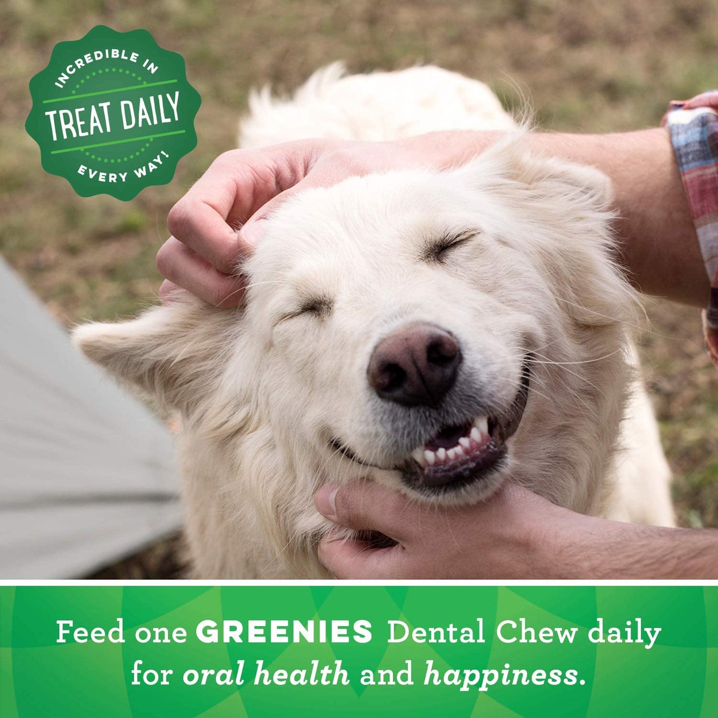 Canine Dental Dog Treats Original Petite 60 Chews Value Pack 1.02Kg