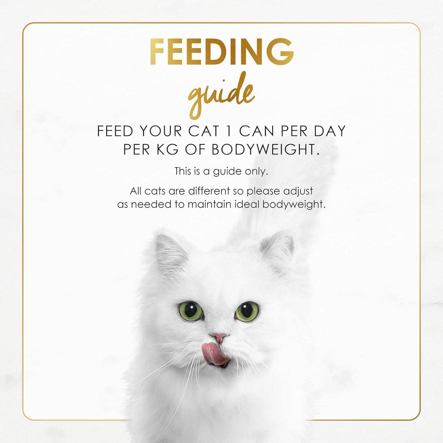 FANCY FEAST Gravy Lovers Adult Wet Cat Food Seared Salmon in Gravy 24X85G