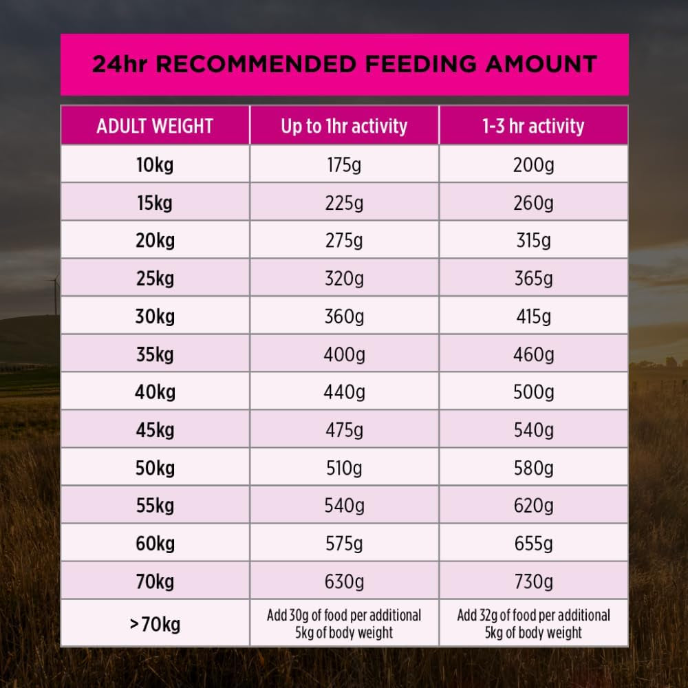 Proplan Adult Sensitive Skin & Stomach Medium & Large Breed Dry Dog Food 12Kg