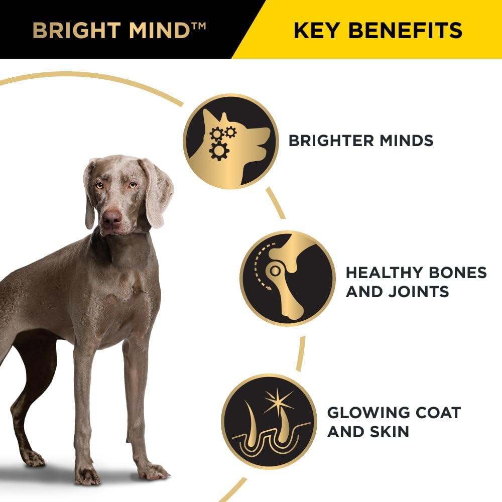 Proplan Adult 7+ Bright Mind Chicken Dry Dog Food 12Kg