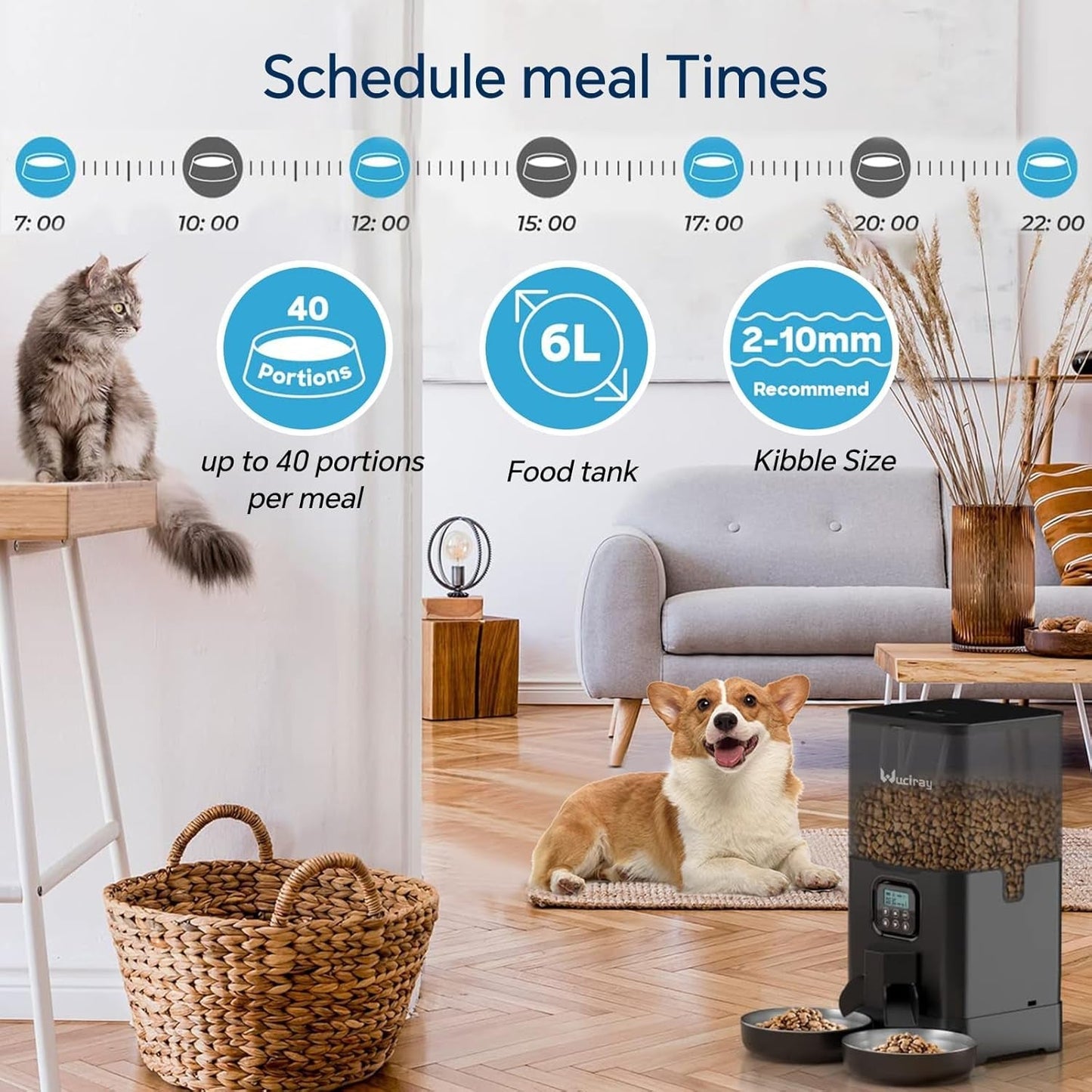 Automatic Pet Feeder, Timed Cat Food Dispenser 6L Double Dog Feeder with 2 Stainless Steel Bowls