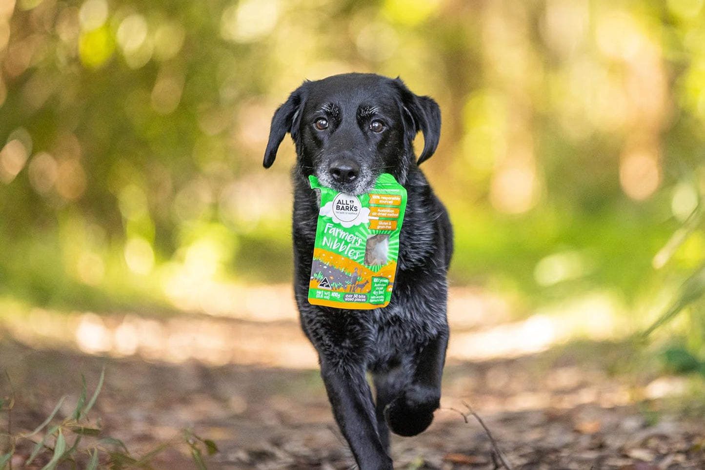 Farmer'S Nibbles - 100% Aussie Chicken, Whitefish, Spinach & Kelp - Natural, Grain-Free, Australian Dog Treats - Snacks, Training or Rewards for Dogs - 100G