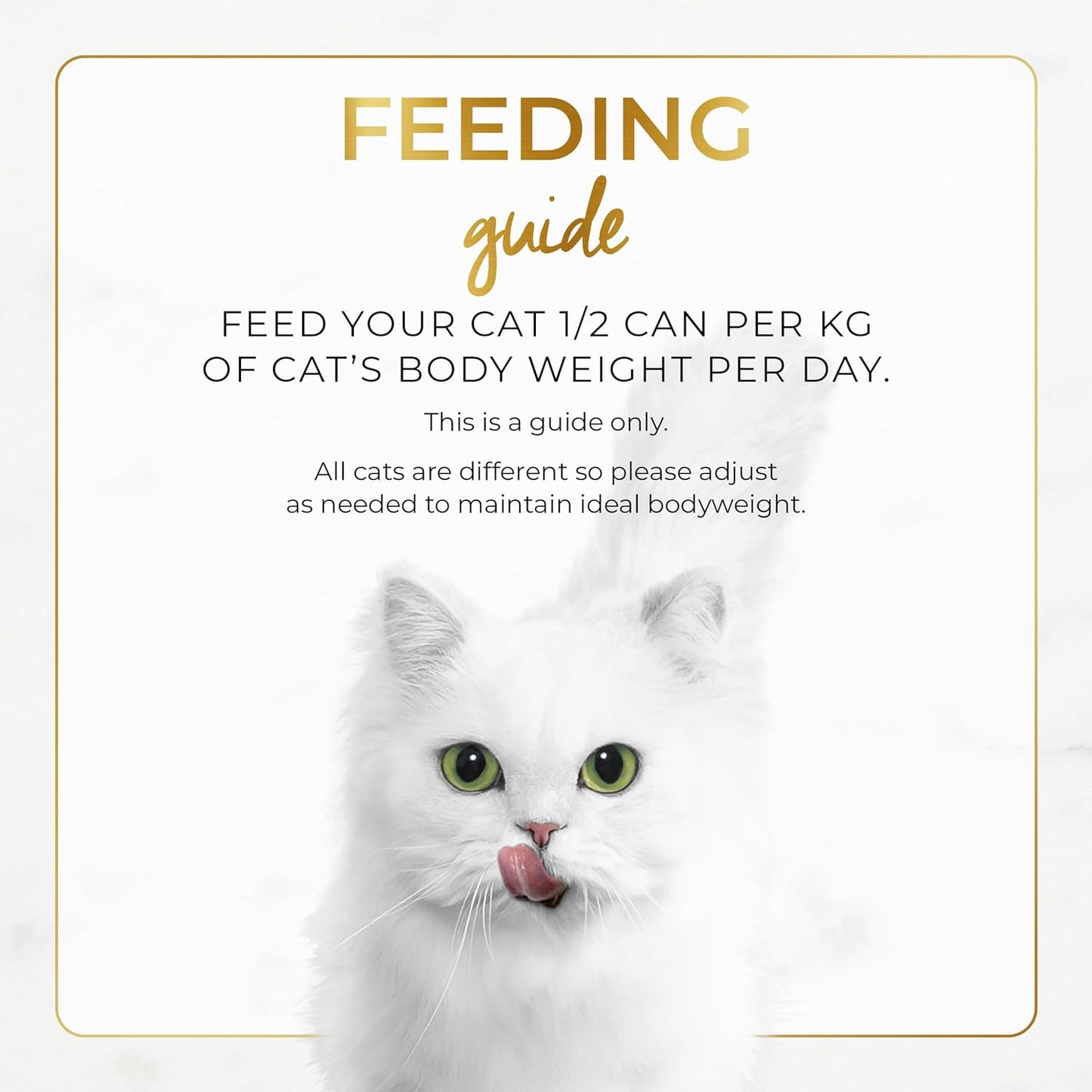 FANCY FEAST Classic Paté Adult Wet Cat Food Chicken Feast 24X85G