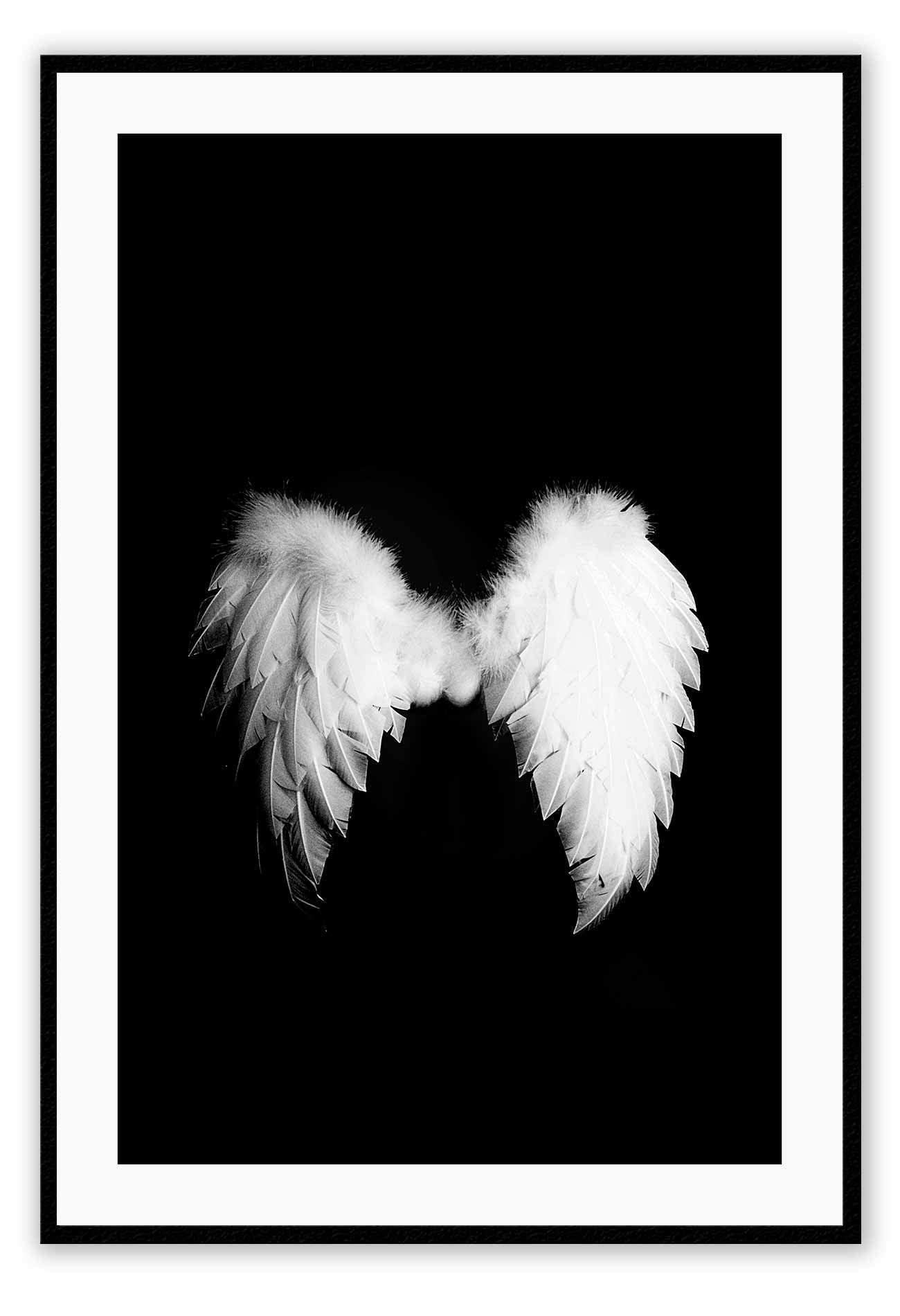 A fashion wall art with a pair of white swan wings on black background.