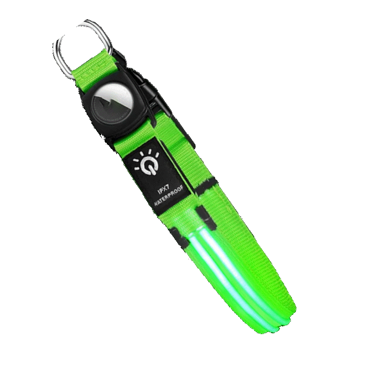 Waterproof LED Dog Collar - Green