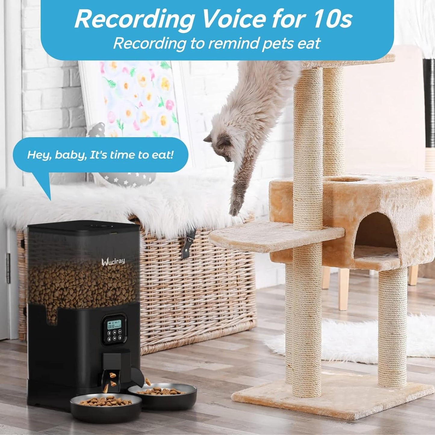 Automatic Pet Feeder, Timed Cat Food Dispenser 6L Double Dog Feeder with 2 Stainless Steel Bowls