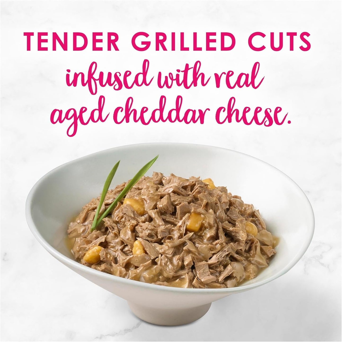 FANCY FEAST Delights with Cheddar Adult Wet Cat Food Grilled Chicken & Cheddar Cheese Feast in Gravy 24X85G
