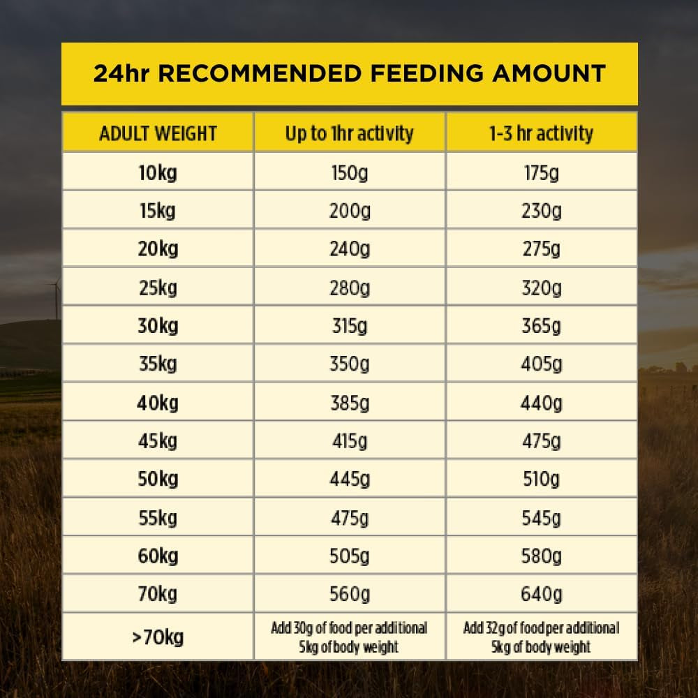 Proplan Adult 7+ Bright Mind Chicken Dry Dog Food 12Kg
