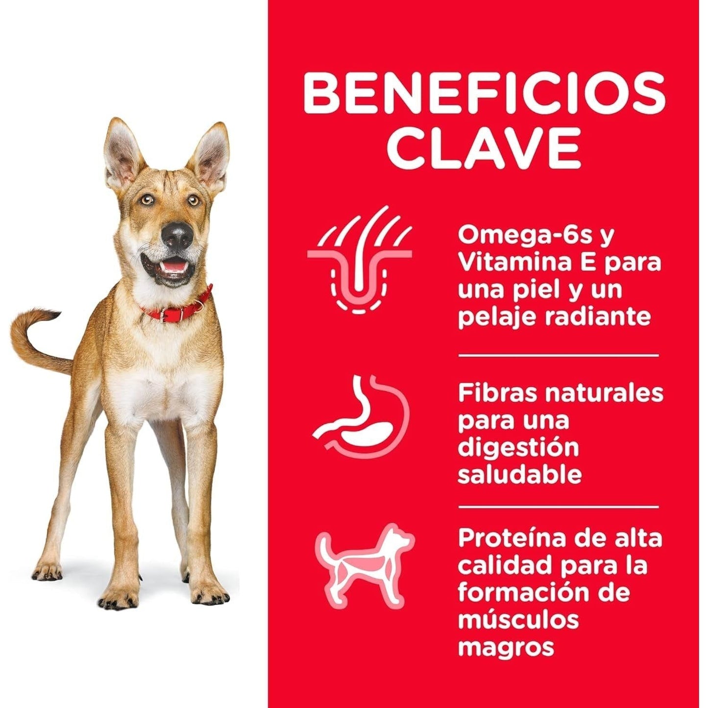 Adult, Chicken & Barley Recipe, Dry Dog Food, 7.5Kg Bag - Paws and Pats