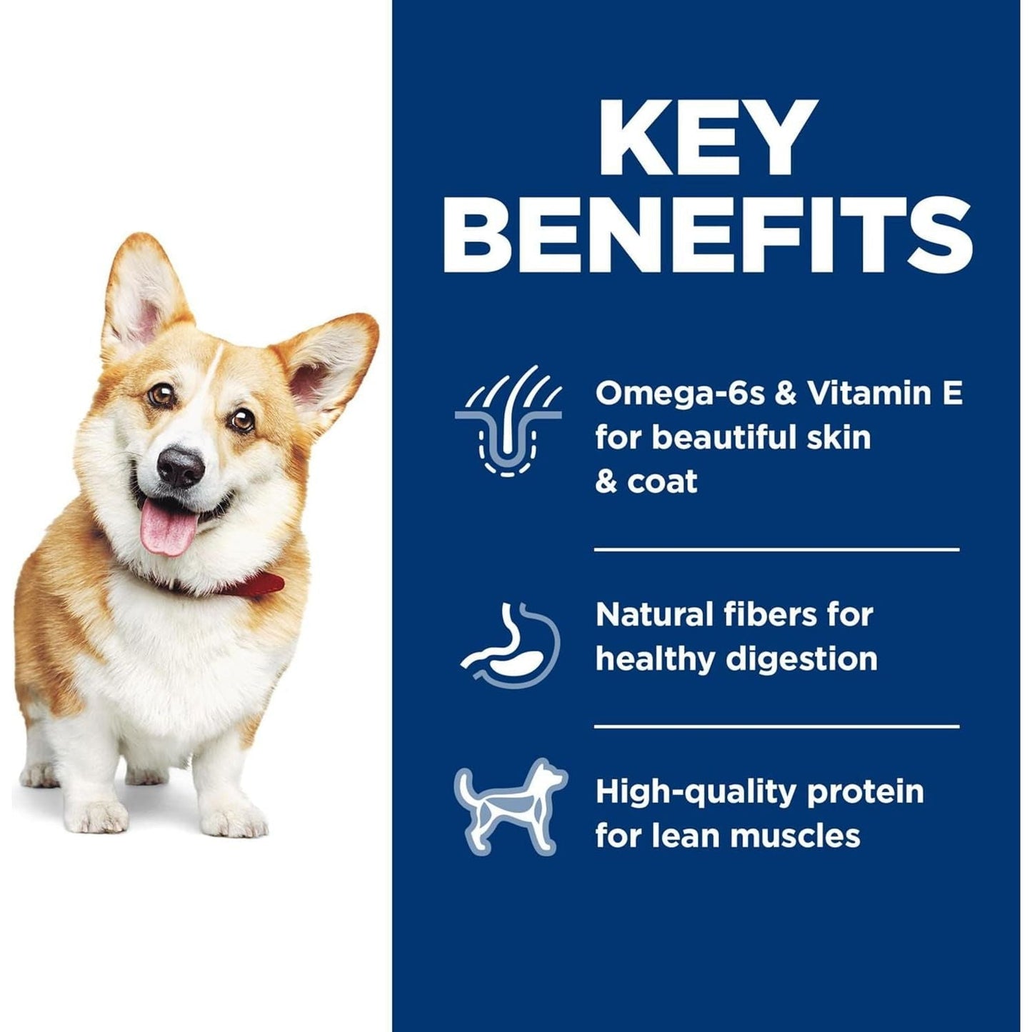 Adult Small Bites, Chicken & Barley Recipe, Dry Dog Food, 6.8Kg Bag