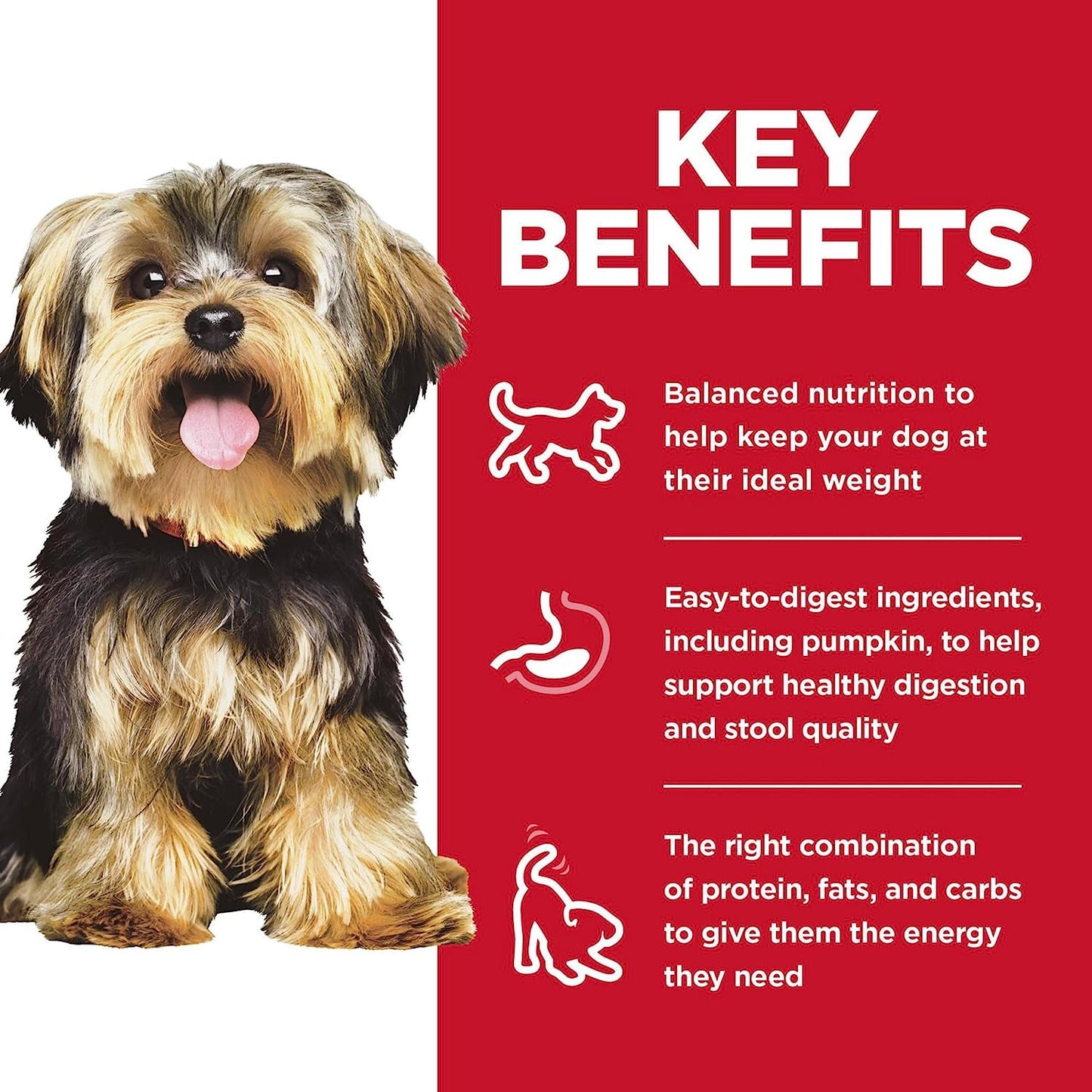 Adult Small Paws, Chicken Meal, Barley & Brown Rice Recipe, Dry Dog Food for Small & Toy Breed Dogs, 7.03Kg Bag