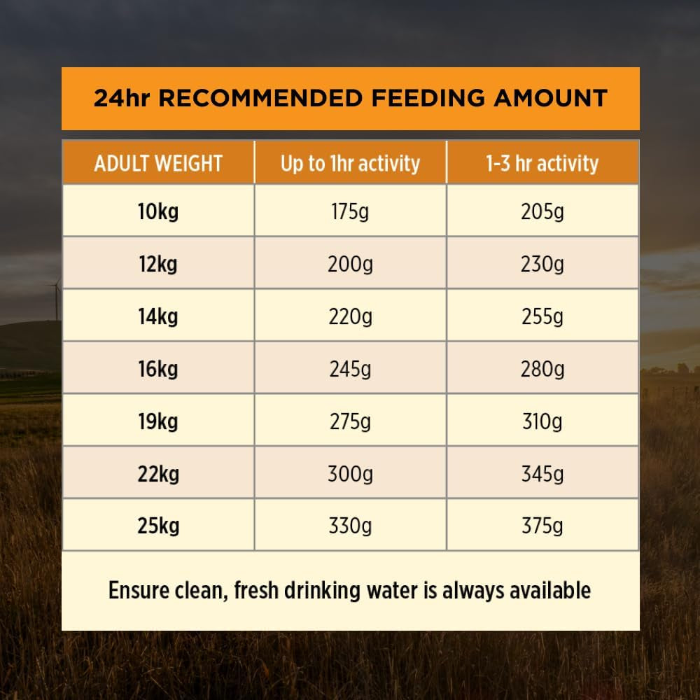 Proplan Adult Medium Breed Chicken Dry Dog Food 15Kg