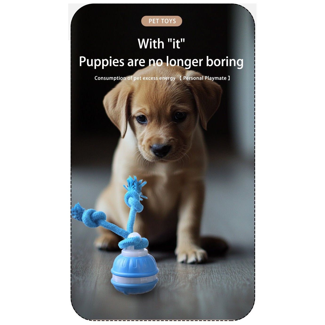 Blue 2-pcs Interactive Dog Toy - Self-Moving Ball with Rope, Boredom Buster