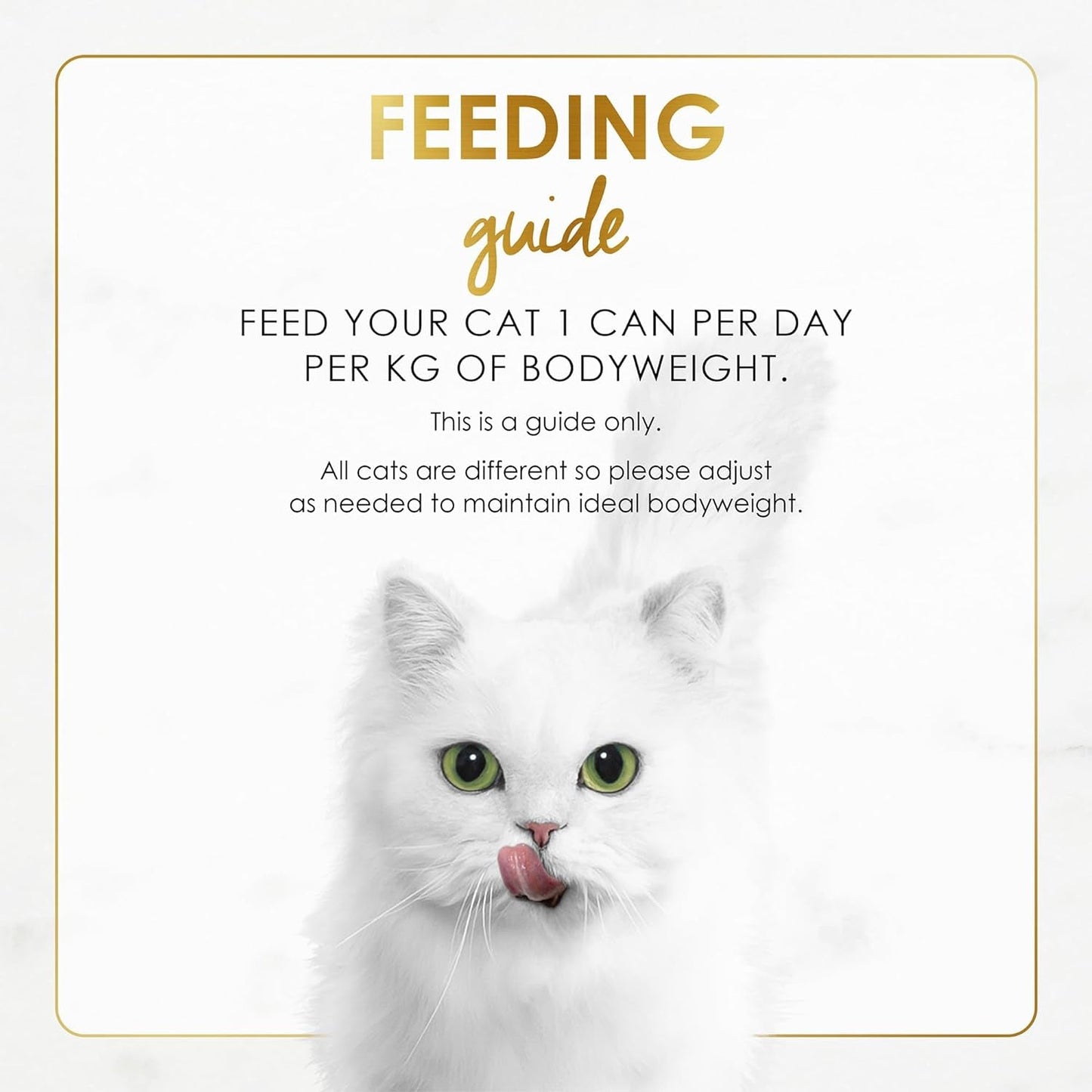 Fancy Feast Grilled Adult Wet Cat Food Grilled Salmon Feast in Gravy 24X85G