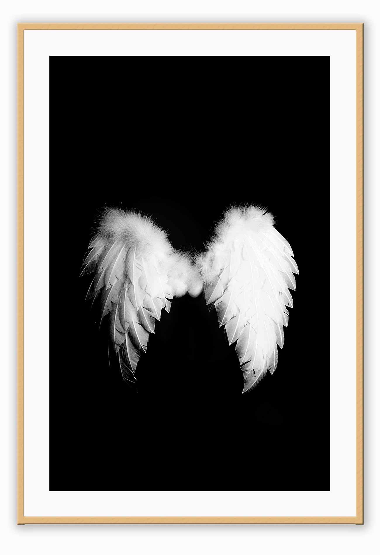 A fashion wall art with a pair of white swan wings on black background.