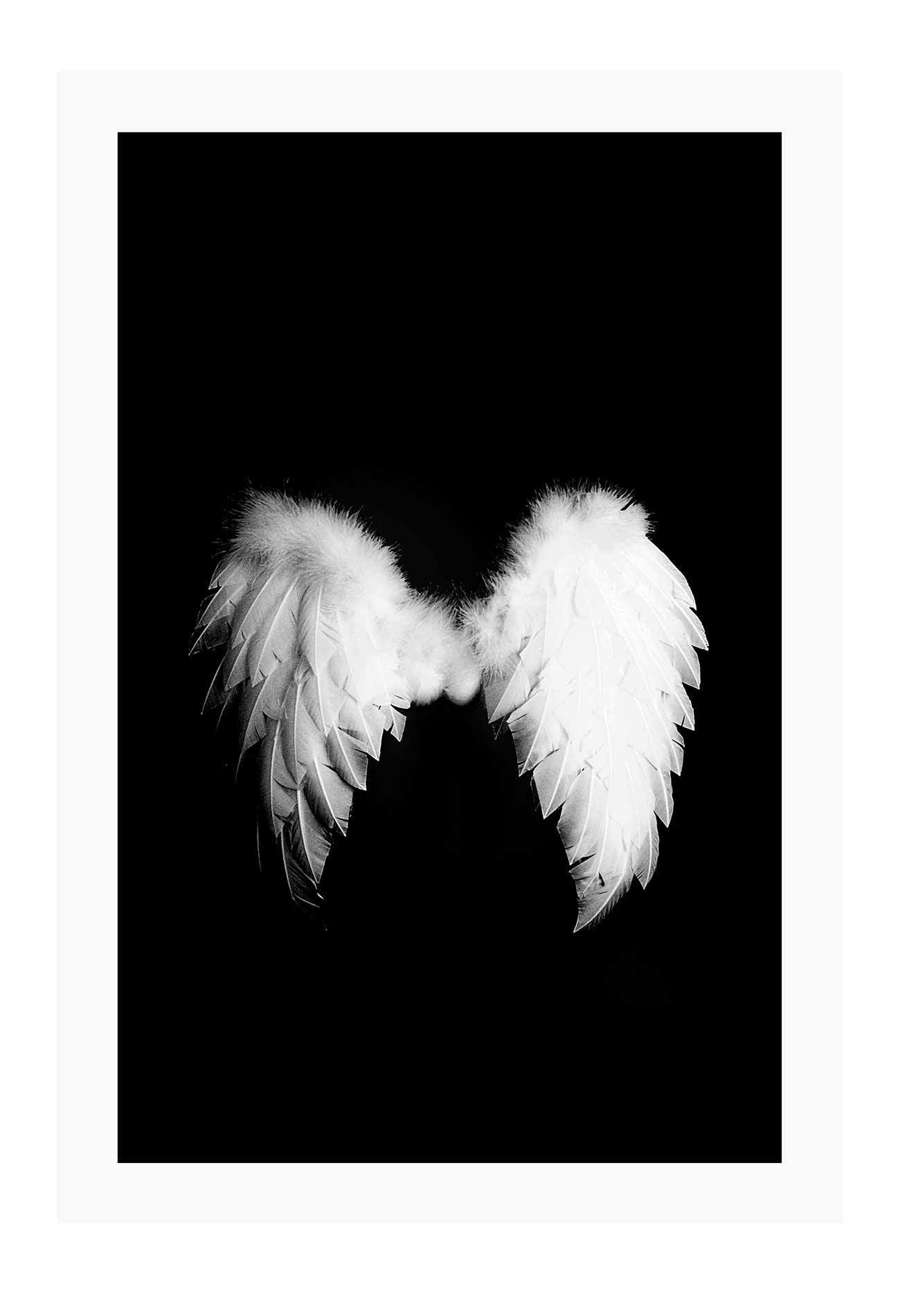 A fashion wall art with a pair of white swan wings on black background.