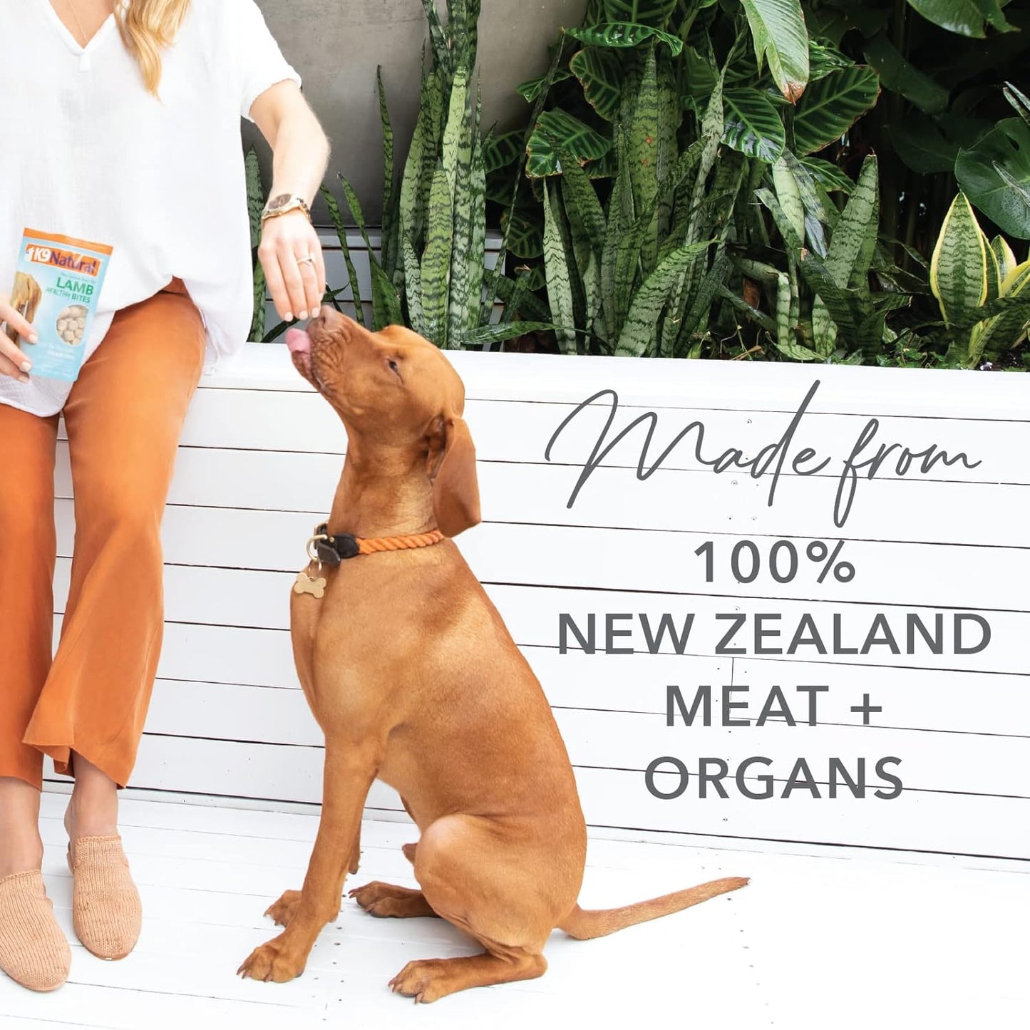 Grain-Free Freeze Dried Dog Treats (Beef Bites)