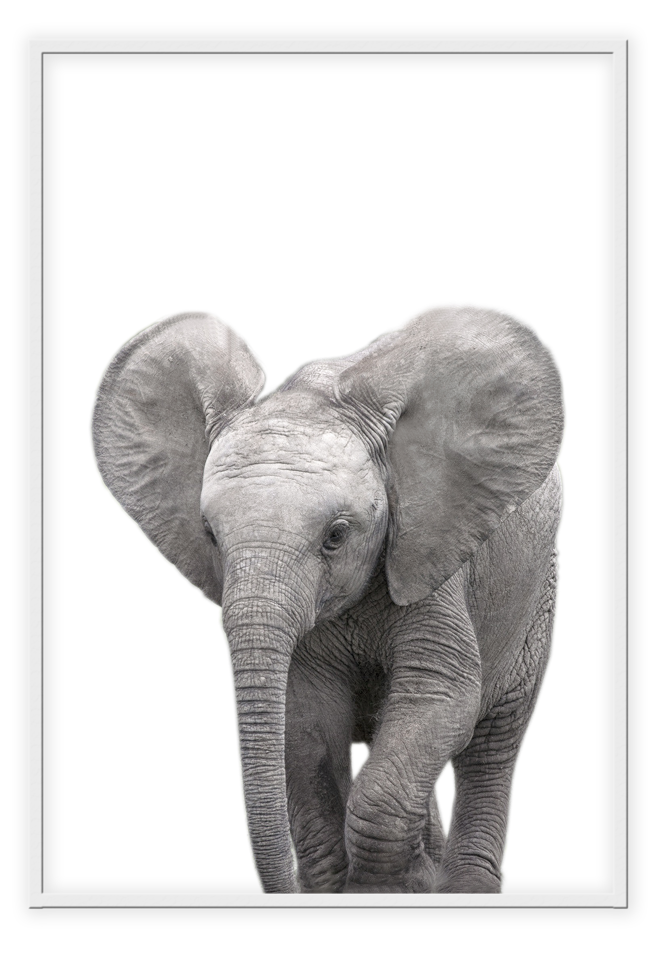 Kids nursery print with a baby elephant close-up in front of a white background.