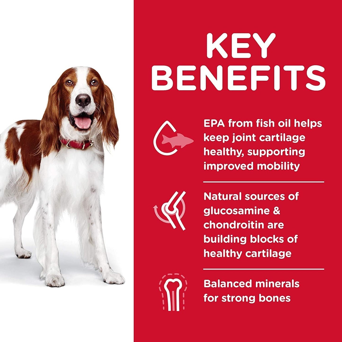 Healthy Mobility Adult, Chicken Meal, Brown Rice & Barley Recipe, Dry Dog Food for Joint Health, 12Kg Bag