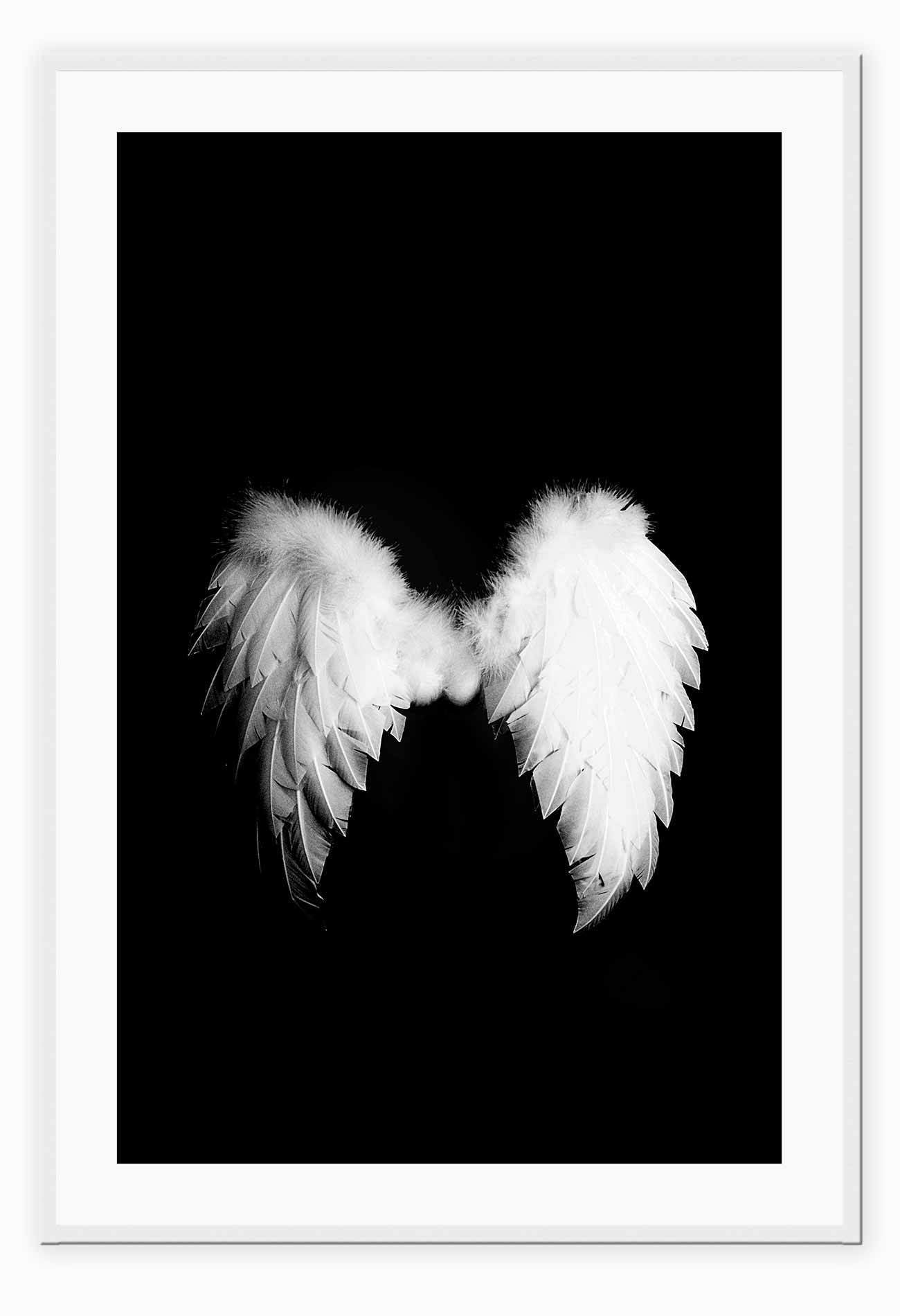 A fashion wall art with a pair of white swan wings on black background.