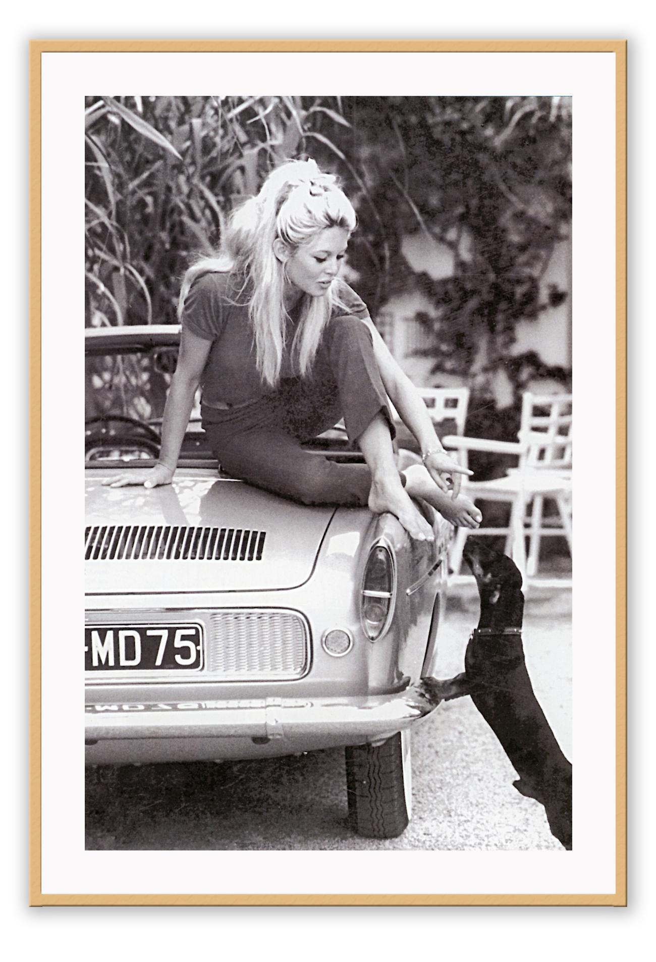 A black and white photo print of a fashion model woman lady on vintage car patting dog dachshund blonde and sexy