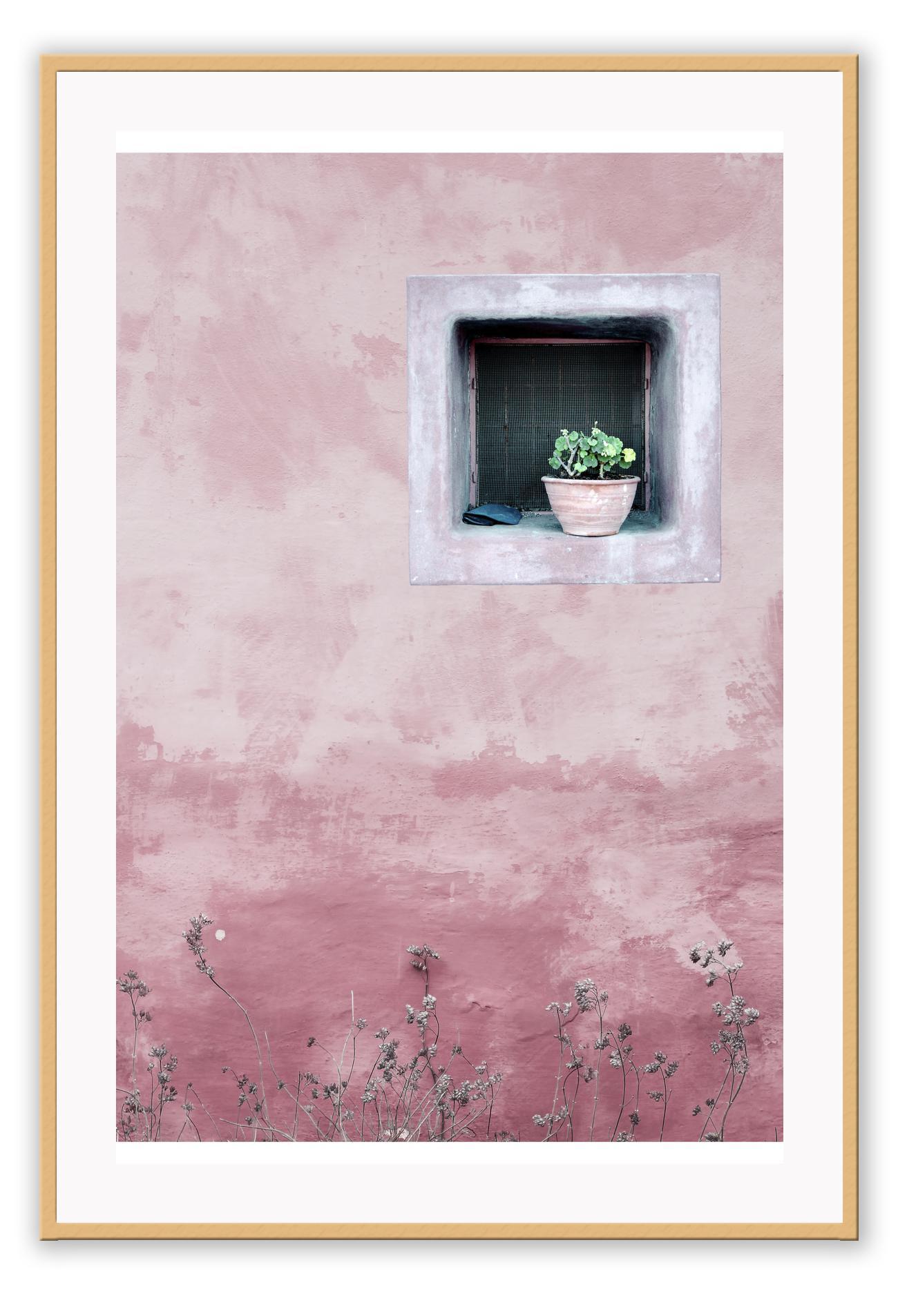 Minimal boho pink window portrait with green succulent in morocco texture architecture