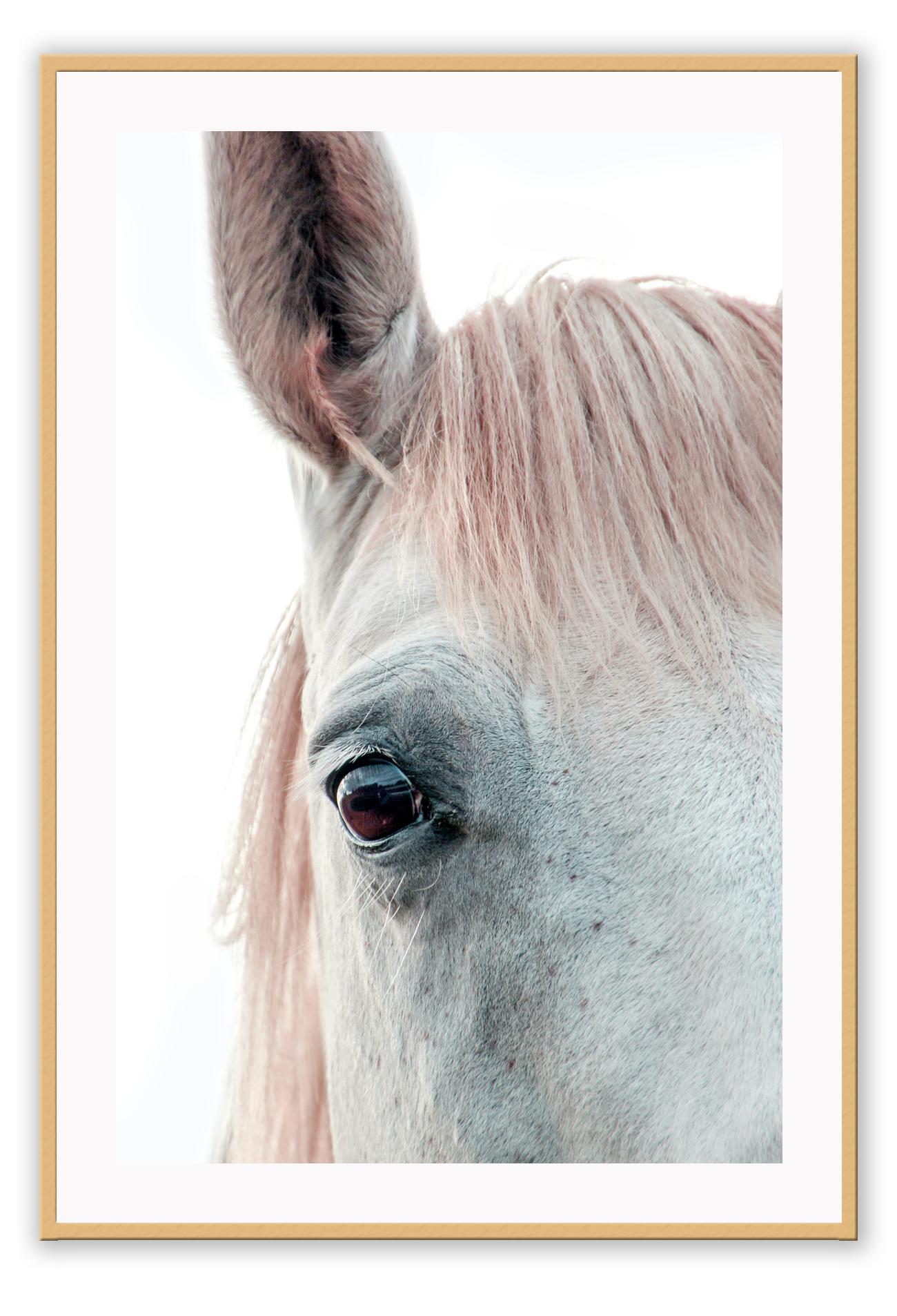 Horse print photography animal white background and neutral boho style
