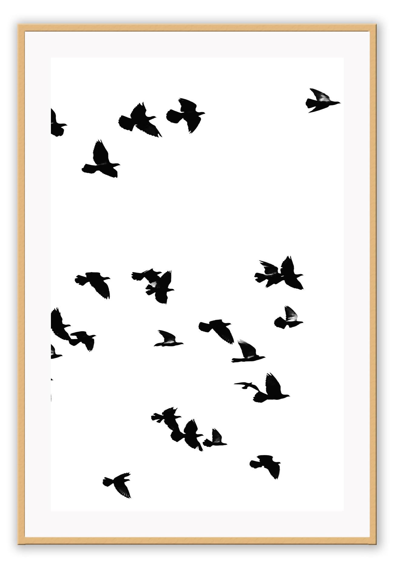 A black and white wall art with black sky birds in white sky.