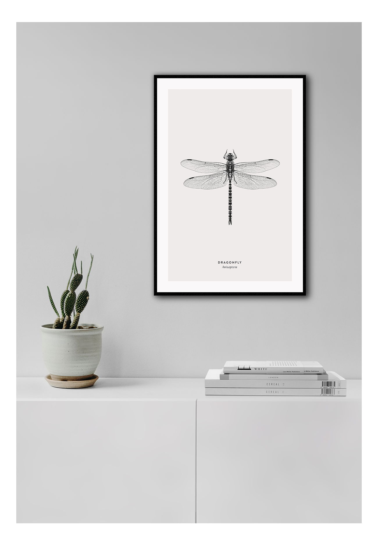 Dragonfly