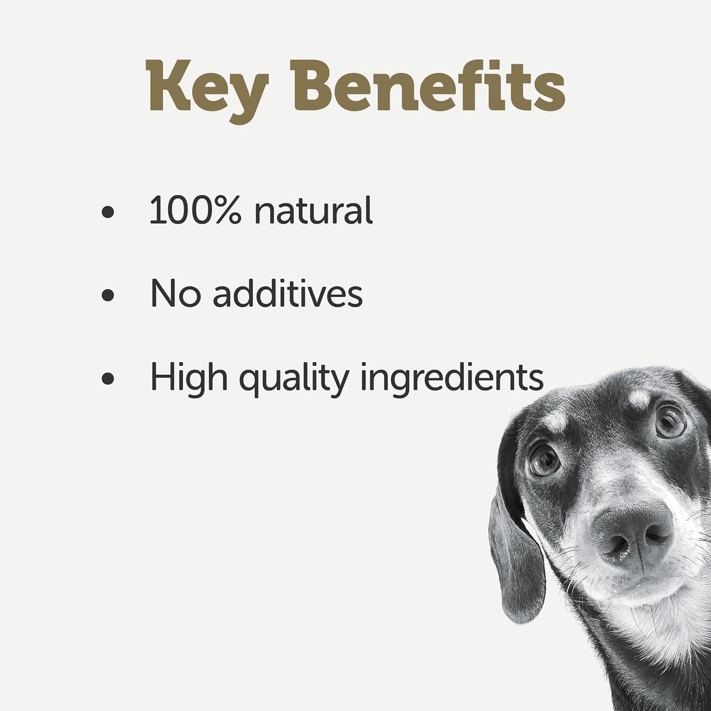 Taste Toppers 100% Natural Wet Dog Food Chicken Breast in Broth Tin 156G (Pack of 16), Limited Ingredients Pet Food
