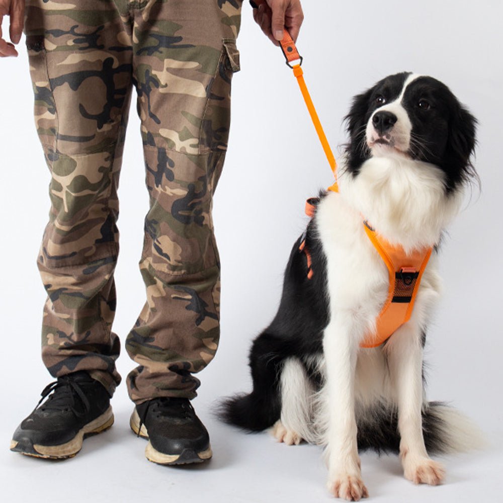 Vibe Geeks Ultimate 2-in-1 Reflective No-pull Dog Harness with Retractable Leash and Control Handle - Orange - L