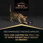 PRO PLAN Kitten Wet Cat Food Salmon in Jelly 12X85G