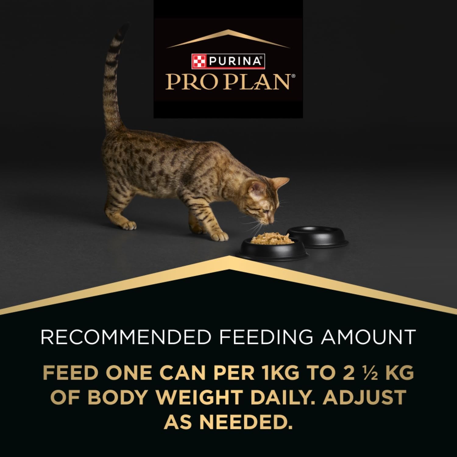 PRO PLAN Kitten Wet Cat Food Salmon in Jelly 12X85G