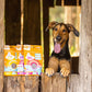 Aussie Mini Burgers - 100% Aussie Chicken & Superfood Ingredients - Natural, Grain-Free Dog Treats - Snacks, Training or Rewards for Dogs - 110G