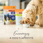Grain-Free Freeze Dried Dog Food Supplement Booster (Lamb Green Tripe, 200G)