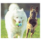 2 Pcs Light Green And Green Interactive Pet Treat Dispensing Ball - Food-Grade Silicone Rolling Toy for Dogs with 1.5 cm Leakage Hole