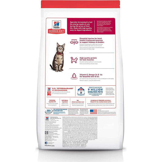 Adult, Chicken Recipe, Dry Cat Food, 4Kg Bag