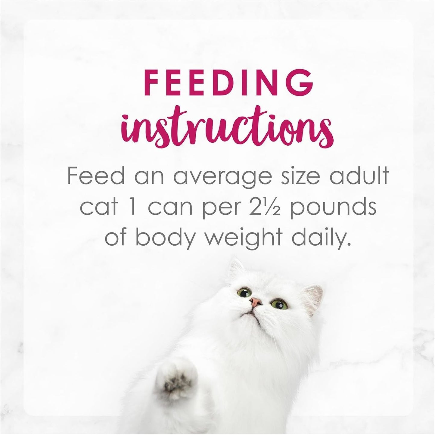 FANCY FEAST Delights with Cheddar Adult Wet Cat Food Grilled Chicken & Cheddar Cheese Feast in Gravy 24X85G