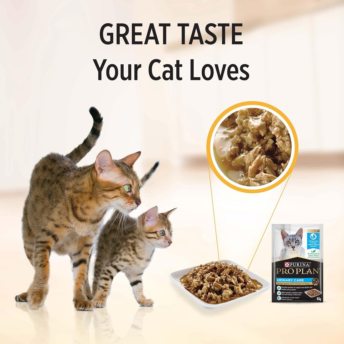 PRO PLAN Adult Wet Cat Food Urinary Care Chicken in Gravy 12X85G