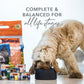 Bpa-Free & Gelatin-Free Canned Dog Food, Lamb 370G 12 Pack