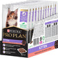 PRO PLAN Kitten Wet Cat Food Salmon in Jelly 12X85G