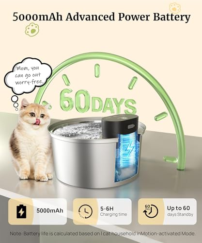 Cat Water Fountain Stainless Steel