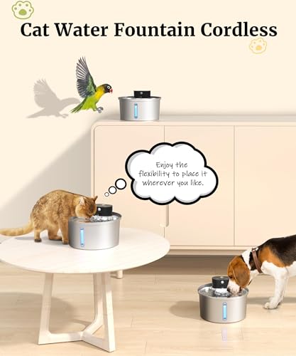 Cat Water Fountain Stainless Steel