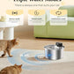Cat Water Fountain Stainless Steel