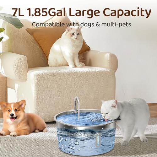 Dog Water Fountain for Large Dogs