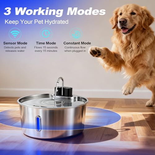 Dog Water Fountain for Large Dogs